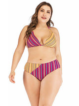 Plus Size Stripped Bikini Set