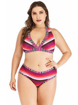 Plus Size Red Rose Stripped Bikini Set