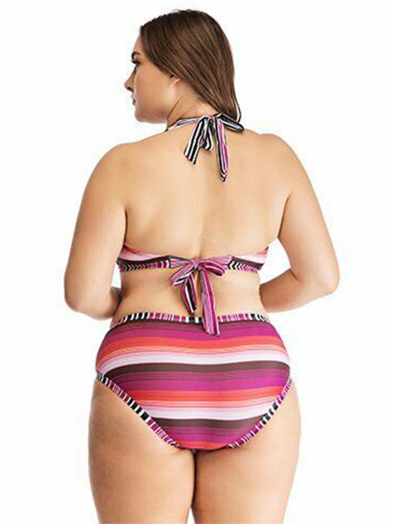 Plus Size Red Rose Stripped Bikini Set